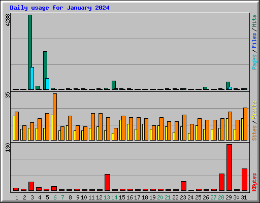 Daily usage for January 2024