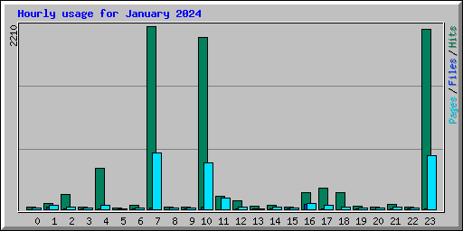 Hourly usage for January 2024