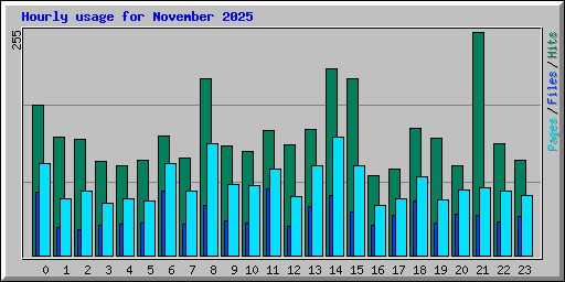 Hourly usage for November 2025