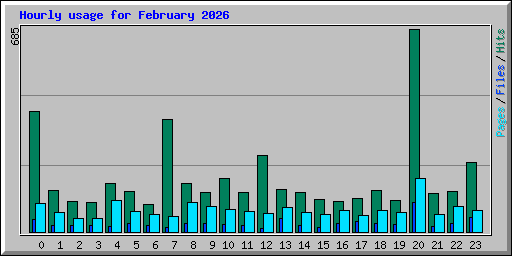 Hourly usage for February 2026